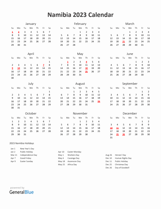 2023 Yearly Calendar Printable With Namibia Holidays