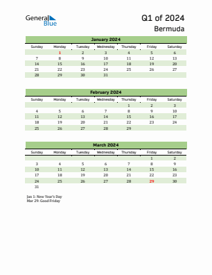 Bermuda Quarter 1  2024 calendar template