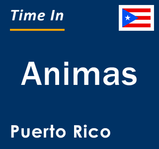 Current local time in Animas, Puerto Rico