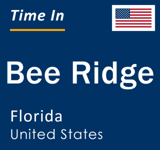 Current local time in Bee Ridge, Florida, United States