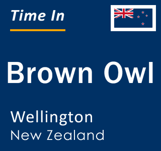 Current local time in Brown Owl, Wellington, New Zealand