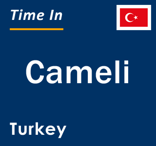 Current local time in Cameli, Turkey