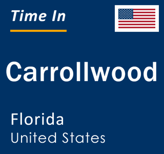 Current local time in Carrollwood, Florida, United States