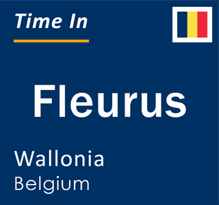 Current local time in Fleurus, Wallonia, Belgium