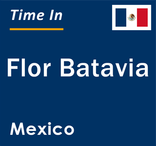 Current local time in Flor Batavia, Mexico