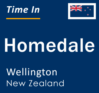 Current local time in Homedale, Wellington, New Zealand