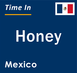 Current local time in Honey, Mexico