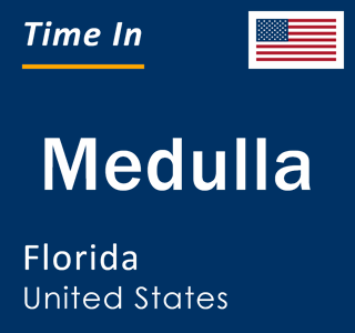 Current local time in Medulla, Florida, United States