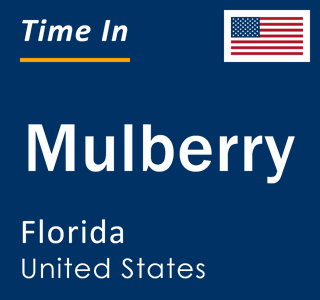 Current local time in Mulberry, Florida, United States