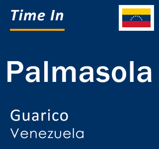 Current time in Palmasola, Guarico, Venezuela