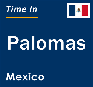 Current local time in Palomas, Mexico