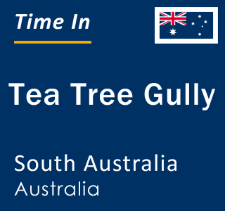 Current local time in Tea Tree Gully, South Australia, Australia