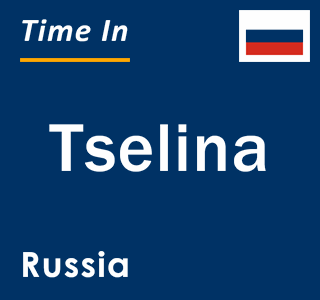 Current local time in Tselina, Russia