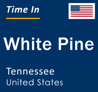 Current local time in White Pine, Tennessee, United States