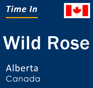 Current local time in Wild Rose, Alberta, Canada